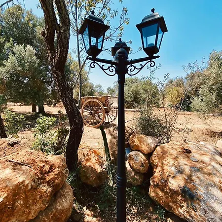 Country In Algarve, 15 Min From Вилла *